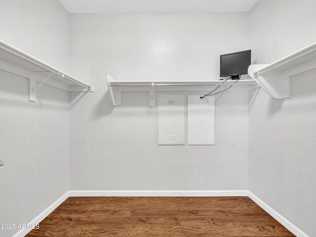 walk in closet featuring dark hardwood / wood-style floors