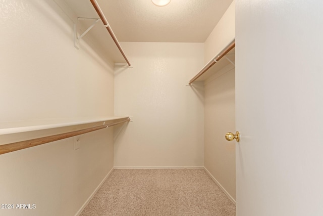 walk in closet with light carpet