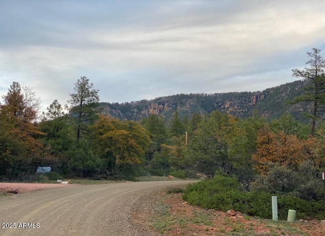 -- Manzanita Trail 15, Pine AZ, 85544 land for sale