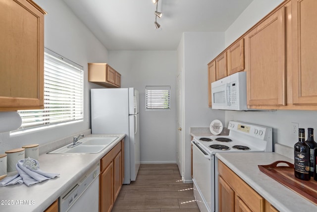 kitchen with wood finished floors, a sink, light countertops, baseboards, and white appliances
