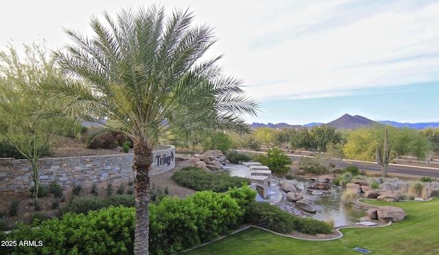 exterior space featuring a mountain view and a lawn