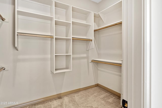 11266 W Calle Con Queso, Casa Grande, AZ 85194 - walk in closet featuring carpet flooring