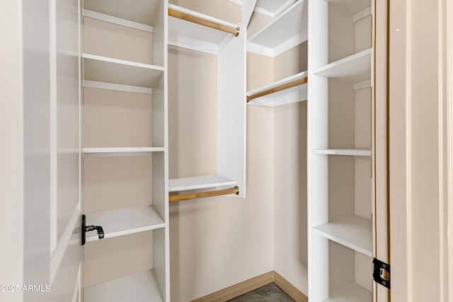 11266 W Calle Con Queso, Casa Grande, AZ 85194 - view of spacious closet