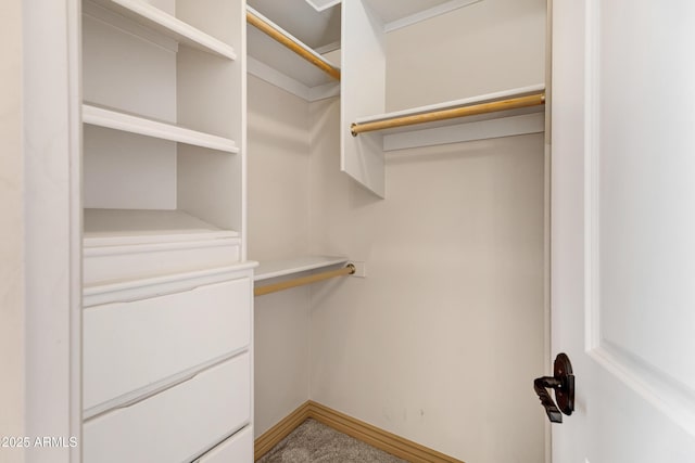 11266 W Calle Con Queso, Casa Grande, AZ 85194 - spacious closet featuring carpet floors