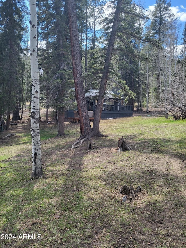 view of yard with a wooden deck