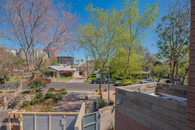 view of yard with a fenced front yard and a gate