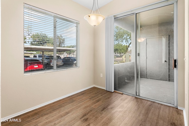 interior space with a closet, wood-type flooring, and multiple windows