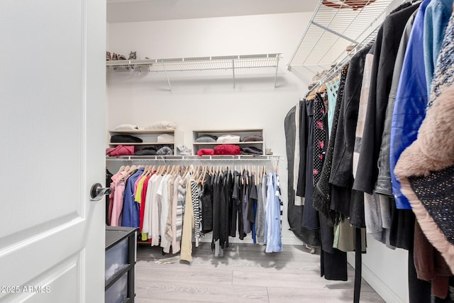 walk in closet featuring hardwood / wood-style flooring