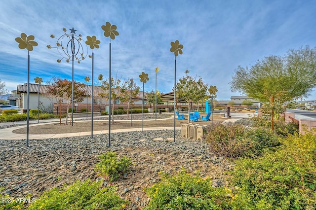 view of jungle gym