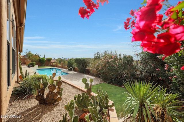 view of swimming pool with a patio