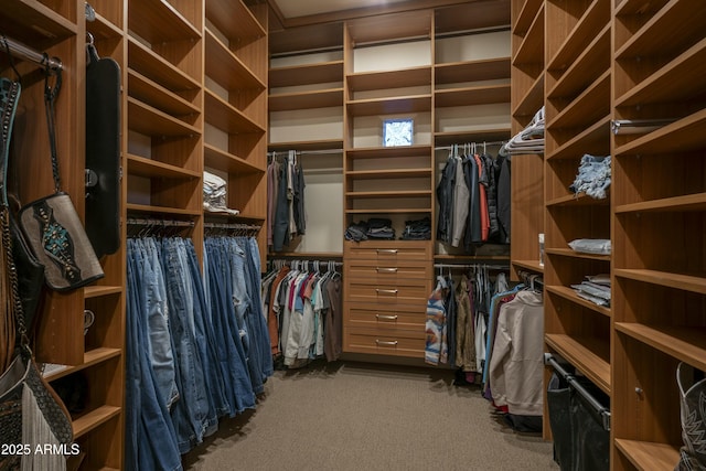 25031 N Paso Trl, Scottsdale, AZ 85255 - walk in closet featuring carpet