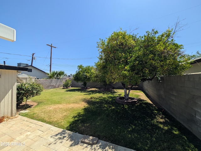3827 N 8th St, Phoenix, AZ 85014 - view of yard featuring a patio area