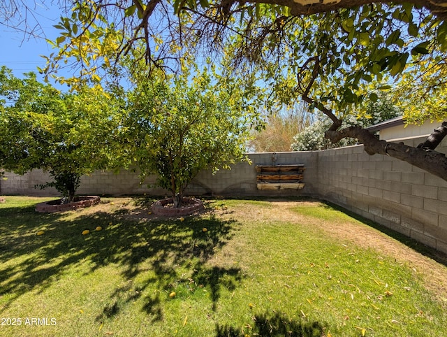 3827 N 8th St, Phoenix, AZ 85014 - view of yard