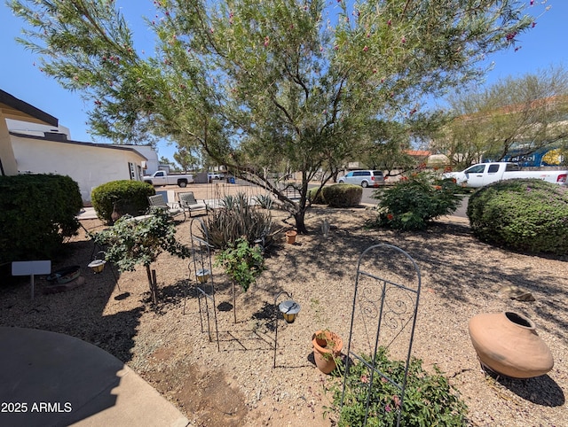3827 N 8th St, Phoenix, AZ 85014 - view of yard