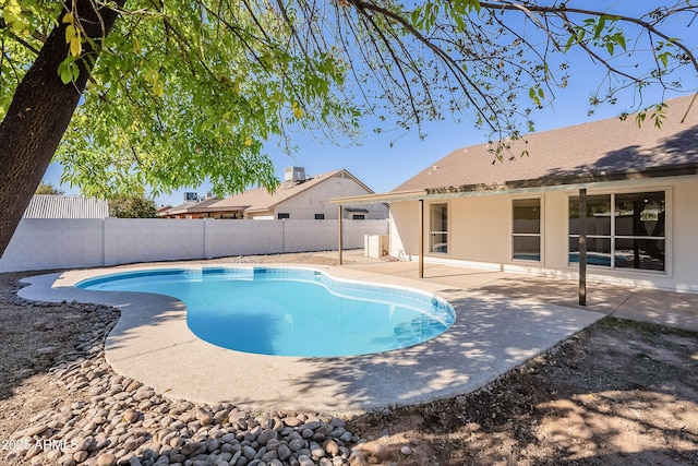 view of pool featuring a patio area