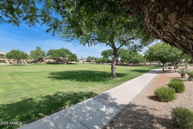 view of community with a yard