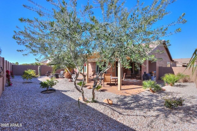 view of yard with a patio