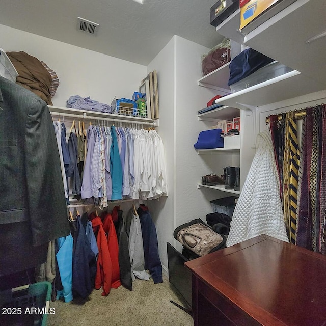 view of walk in closet