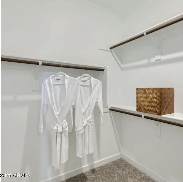 23334 W Mobile Ln, Buckeye, AZ 85326 - spacious closet with carpet floors