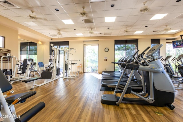 exercise room with visible vents, a paneled ceiling, a ceiling fan, and wood finished floors