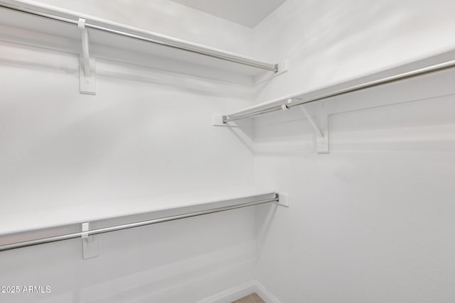 view of spacious closet
