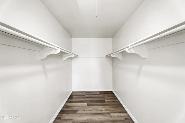 walk in closet featuring dark wood-style flooring