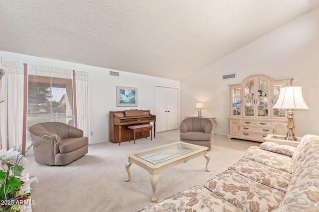 carpeted living room with lofted ceiling and a textured ceiling