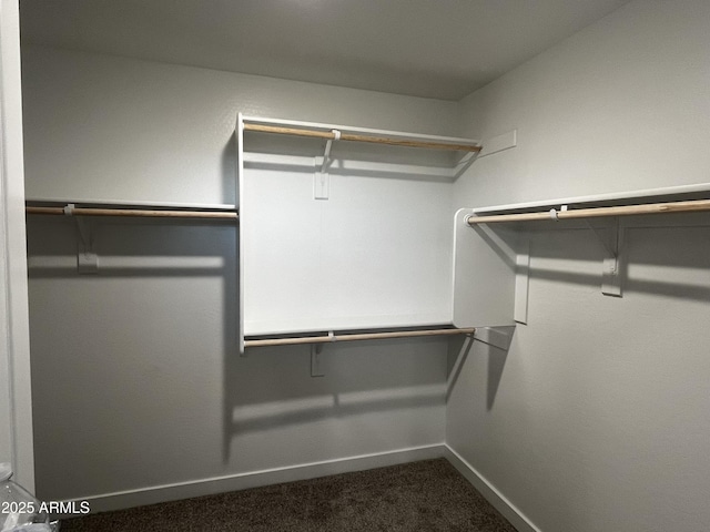 walk in closet with dark colored carpet