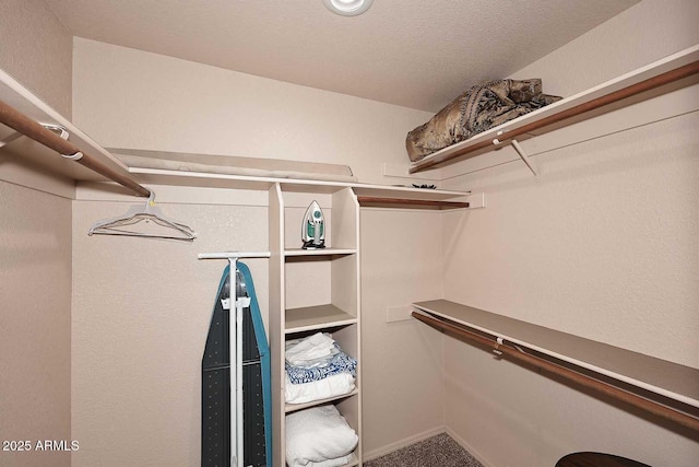 205 N 74th St Unit 248, Mesa, AZ 85207 - walk in closet with carpet flooring