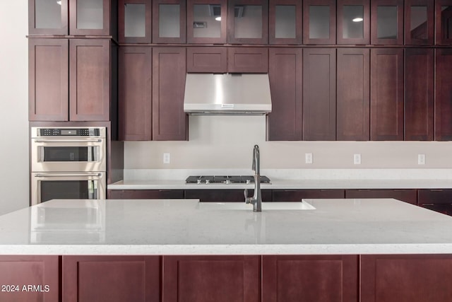 kitchen featuring light stone countertops, sink, stainless steel appliances, range hood, and a center island with sink