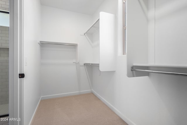 spacious closet with light colored carpet