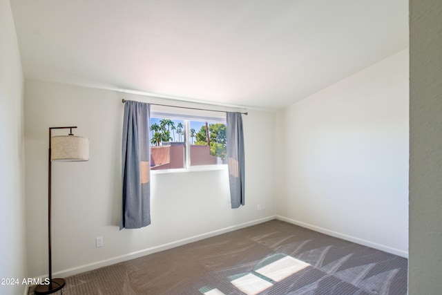 spare room featuring carpet floors