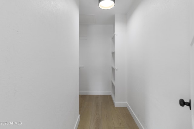 walk in closet featuring light wood-type flooring