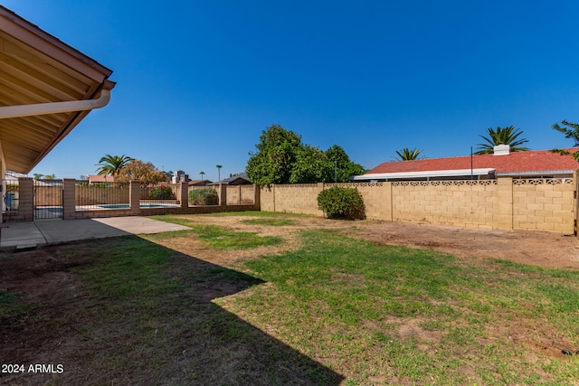 view of yard featuring a patio area