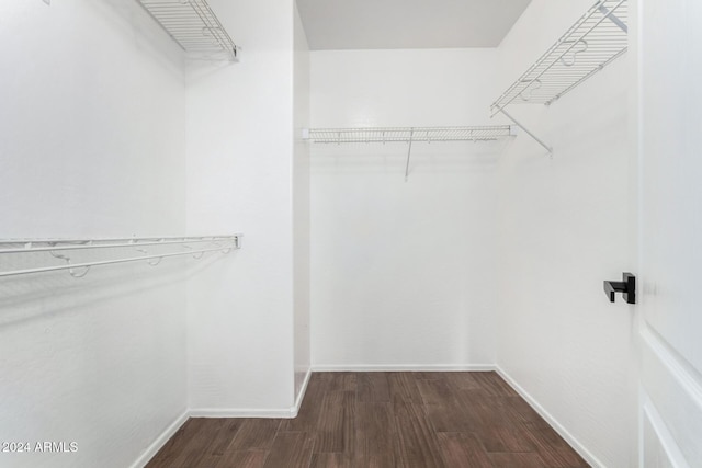 walk in closet with dark hardwood / wood-style floors