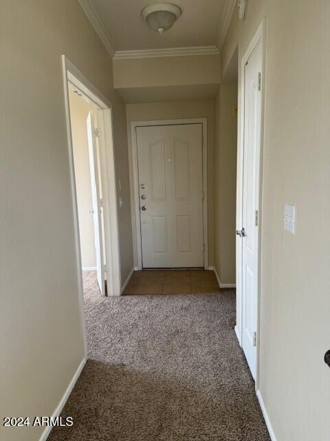 corridor featuring ornamental molding and carpet floors