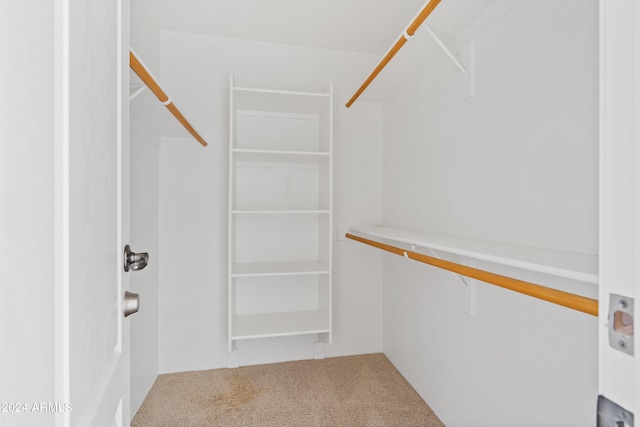 spacious closet featuring carpet floors