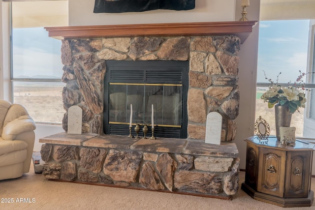 interior details with a stone fireplace