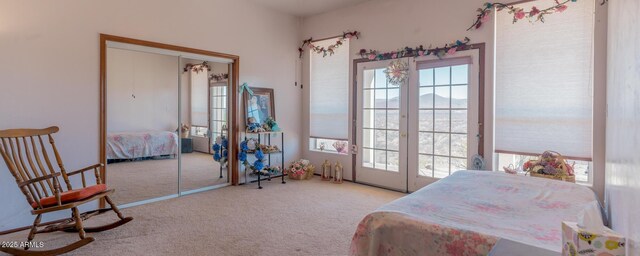 carpeted bedroom with multiple windows and a closet