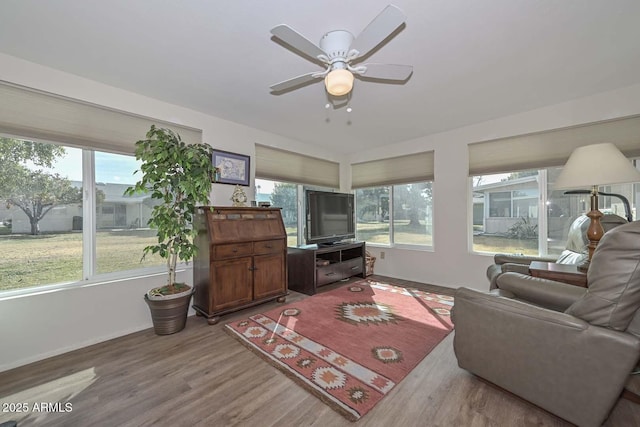 living room with ceiling fan and wood-type flooring