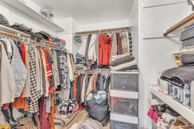 spacious closet featuring wood-type flooring