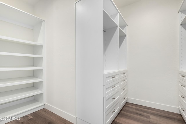 spacious closet featuring dark wood-style flooring