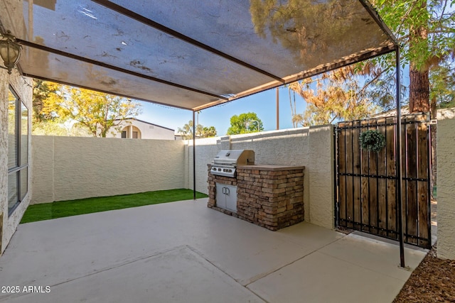 view of patio with grilling area, area for grilling, a fenced backyard, and a gate