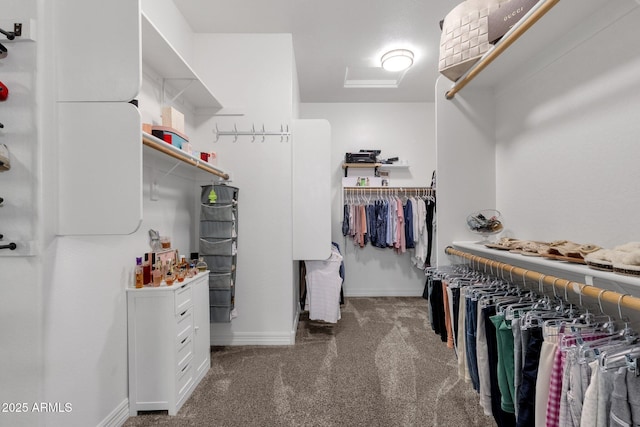 walk in closet with carpet flooring