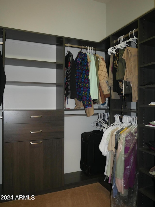 view of walk in closet