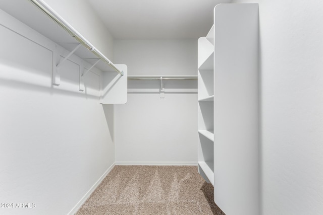 spacious closet with light carpet