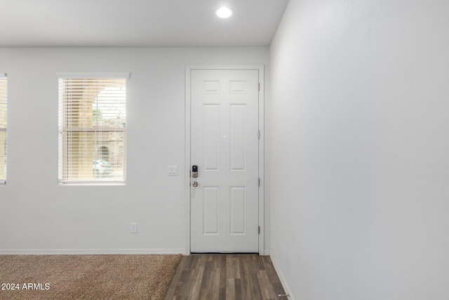 entryway featuring dark wood-type flooring