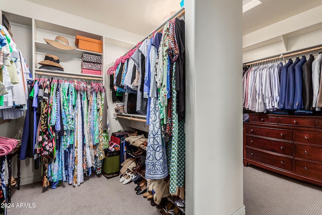 walk in closet with carpet floors