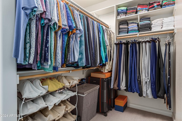 spacious closet with carpet