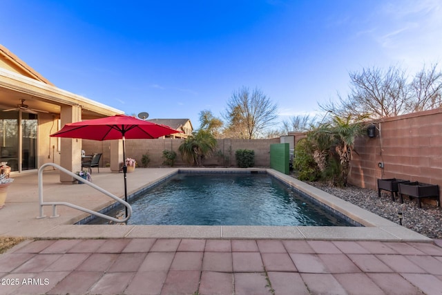 view of swimming pool with a patio